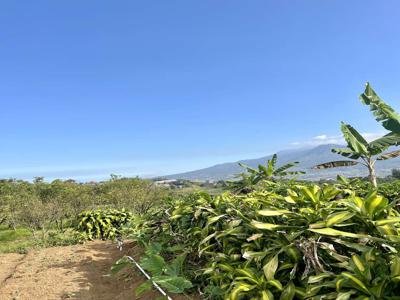 Tanah villa pedesaan bumiaji batu bisa utk cafe view gunung dan bukit