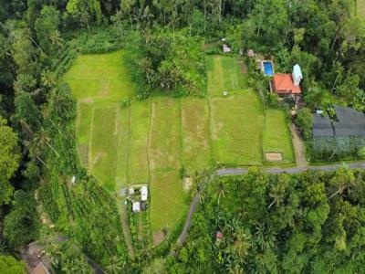 Dijual Tanah 34 are Murah View Sawah dan Sungai Bali