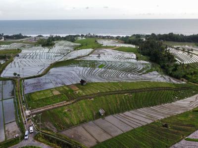 Dijual tanah kavlingan lokasi beraban tabanan