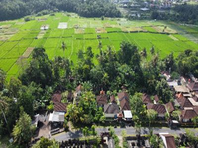 Dijual Tanah Lokasi Strategis View Sawah dan Gunung di Ubud Bali