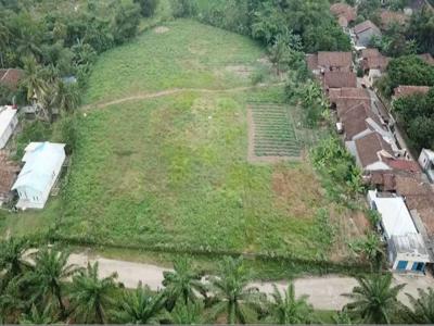 Jual Tanah Di Desa Tutul, Maja - Rangkas Bitung, Lebak Banten