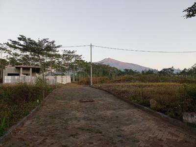 kavling dijual dekat kebun teh