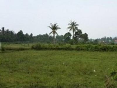Kavling Murah dan Strategis Nempel Pantai Carita, Pandeglang, Banten