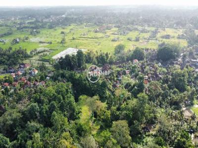 Land For Sale MURAH Lokasi Strategis View Sungai, Hutan Jungle di Ubud