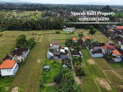 Land For Sale Murah Luas 330 m2 View Sawah Lingkungan Villa