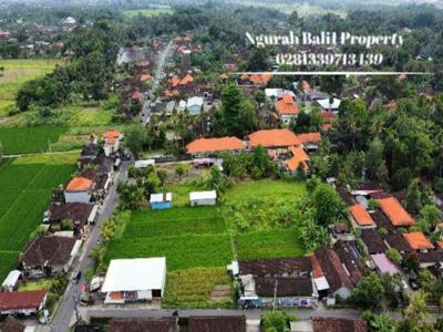 Land For Sale Murah Luas 9 Are Lingkungan Villa di Ubud Bali