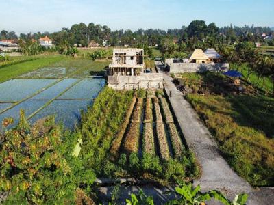 Land For Sale MURAH View Persawahan & Gunung di Sayan Ubud