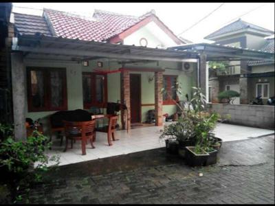 Rumah Belakang Matoa Golf 900 Juta di Jagakarsa, Jakarta Selatan