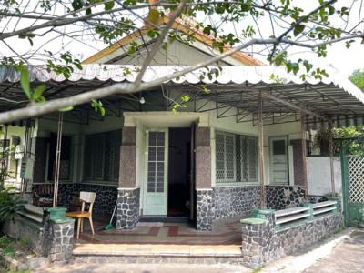 Rumah Halaman Luas di Tugu Yogyakarta
