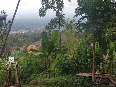 Tanah Dijual di Pandeglang View city keren cocok untuk bikin villa