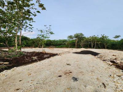 Tanah kavling murah di Nusa Dua