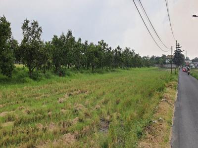Tanah Murah di Mojokerto Kota