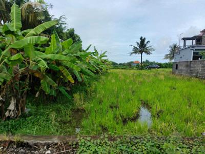 Tanah murah Lingkungan wisata di Ubud