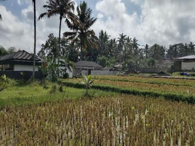 Tanah MURAH Luas 270 m2 View Sawah Link Villa di Pejeng Ubud Bali