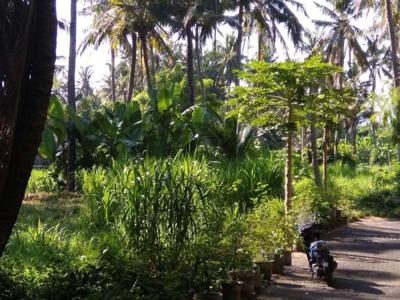 Tanah Potensial utk Villa Kawasan Pantai Saba