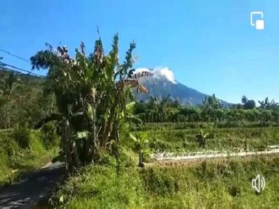 TANAH TERMURAH STRATEGIS BARAT PASAR KLEGEN BANDONGAN