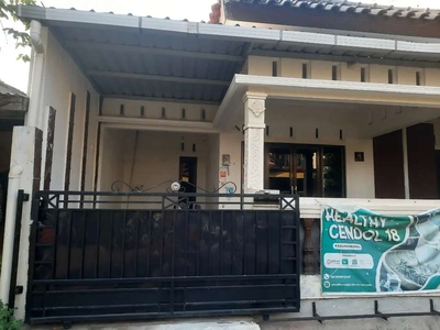 Di jual rumah didaerah bangau