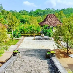 Dijual kebun wisata Durian Jumantono Karanganyar