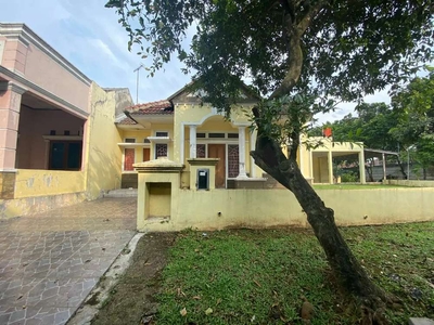 Dijual Rumah Asri dengan Taman Luas di Graha Raya Bintaro