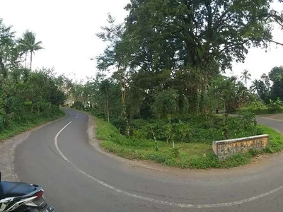 Dijual tanah desa wisata Tamansari perbatasan kalibendo Banyuwangi