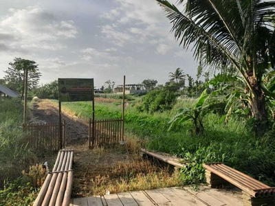 DIJUAL TANAH SAWAH MURAH MERIAH COCOK UNTUK INVESTASI, HUNIAN, JK11464