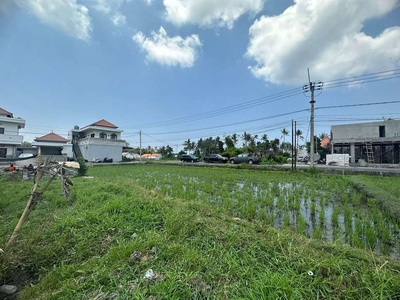 Dijual Tanah View Sawah 500 meter ke Pantai Seseh, Cemagi