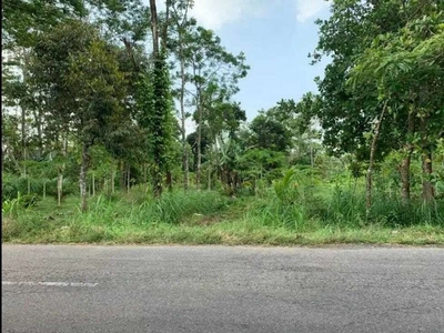 Dijual tanah Zona industri luas 5 Ha lokasi boyolali