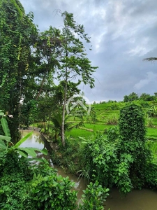 Freehold Land Location Buduk, Canggu