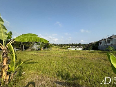 FREEHOLD/LEASEHOLD LAND IN NYANYI, 500 M FROM THE BEACH (21 ARE)