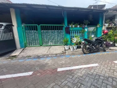 Griya Permata Hijau Candi Sidoarjo