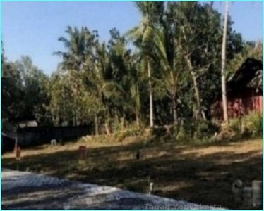 Jual Tanah 3 Menit Kampus UAD Wates Tanah Jl.Kyai Ronggo Untuk Hunian