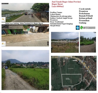 Jual Tanah Bogor Barat Jalan Raya Provinsi