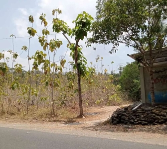 Jual tanah di pajangan