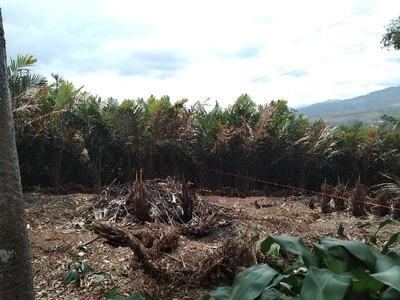 jual tanah kebun dekat tol pamulihan sumedang