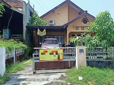 Rumah Lama ex Homestay dekat Kraton Yogyakarta.