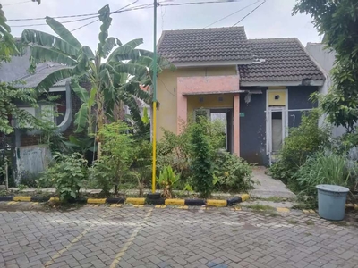 Rumah lelang murah sidoarjo