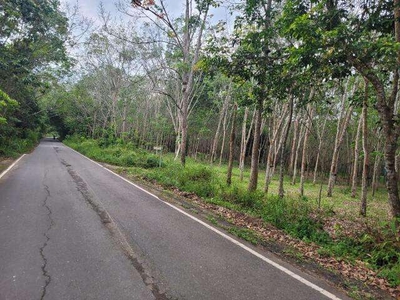 Tanah 1 Hektar pinggir jalan (dekat Citi Mall) - Prabumulih