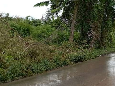 Tanah 350 m Pinggir Jalan Raya Waringin Kurung Kramatwatu Serang