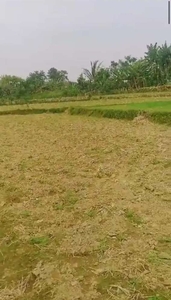 Jual Tanah SHM di daerah Serang Banten
