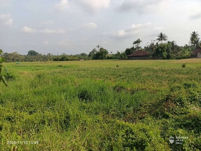 Tanah Dijual Lokasi Dekat Jalan Utama, area Tabanan