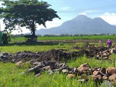 Tanah Kavling Pungging Mojokerto Jawa Timur