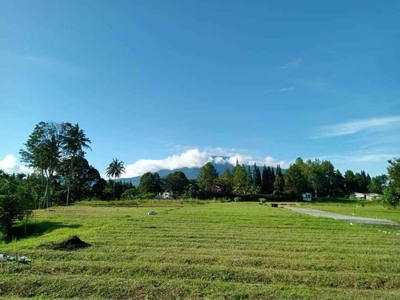 Tanah Kavling Villa Puncak Bogor Free SHM
