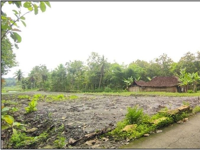 Tanah Kulon Progo, 10 Menit Stasiun Sentolo Jogja