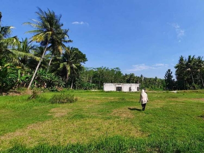 Tanah Kulon Progo, Dekat Polsek Sentolo, Jogja, Hunian Nyaman