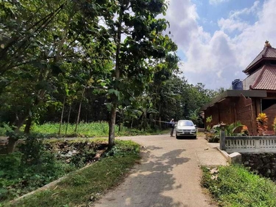 Tanah Kulon Progo, Kawasan Industri, Cocok Bangun Kos-Kos an