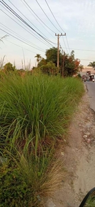 Tanah Luas 1,2 Hektar di Tepi Jalan Limbungan / Rumbai