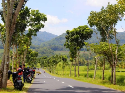Tanah Murah View Mewah Kulonprogo Yogyakarta: dibeli Pasti Untung