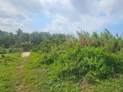 Tanah Pantai Nyanyi tabanan