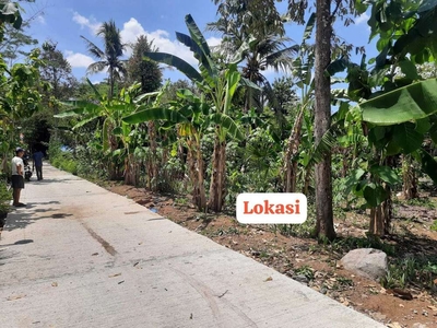 Tanah Pekarangan Murah di Sentolo Kuonprogo Yogyakarta TP 039