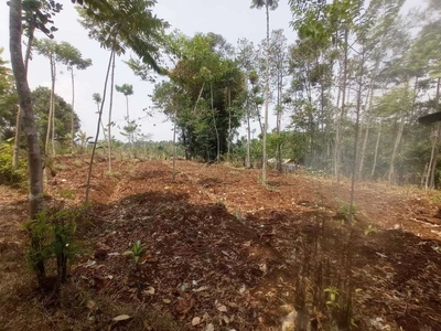 Tanah Perkebunan Bisa Dijadikan Perumahan di Arjasari Bandung